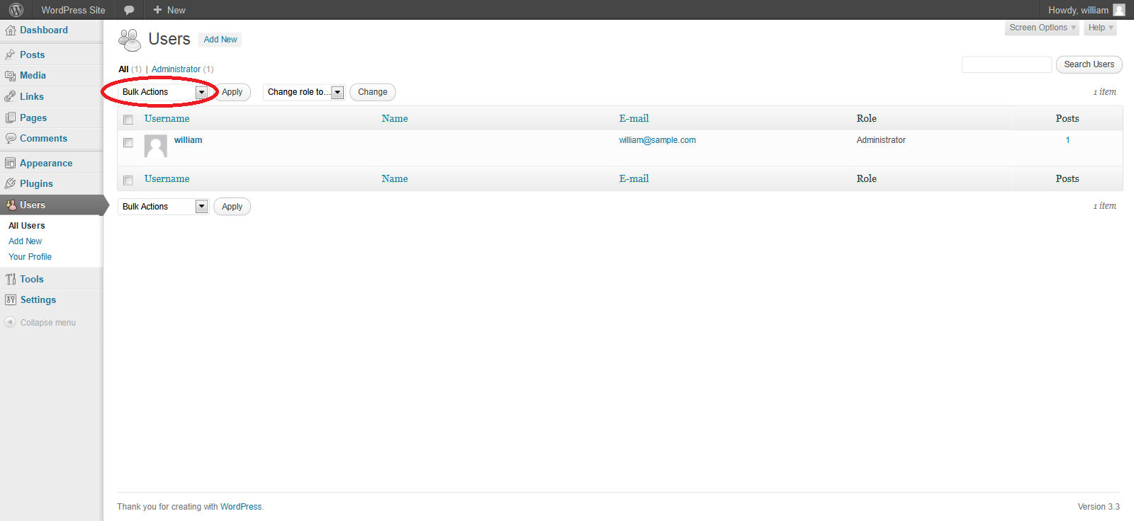 Wordpress Auth and Users