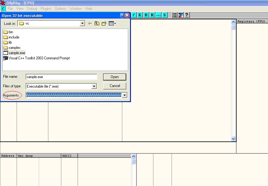 Stack Overflow Vulnerability